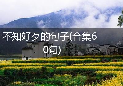 不知好歹的句子(合集60句)