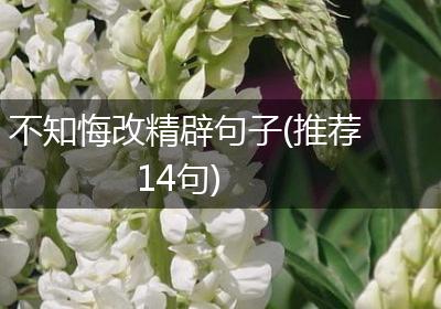 不知悔改精辟句子(推荐14句)