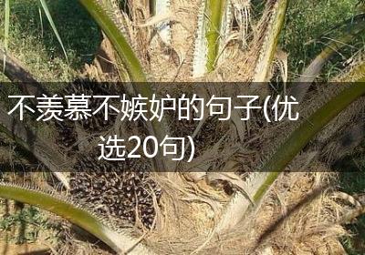 不羡慕不嫉妒的句子(优选20句)