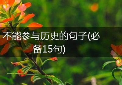 不能参与历史的句子(必备15句)