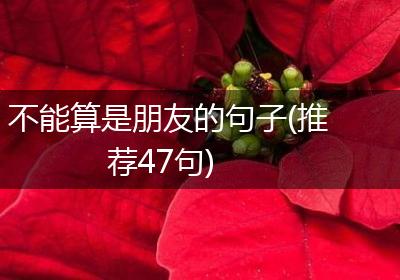不能算是朋友的句子(推荐47句)