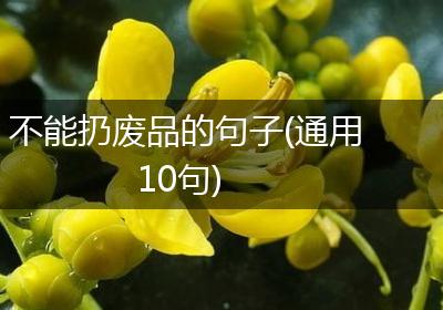不能扔废品的句子(通用10句)