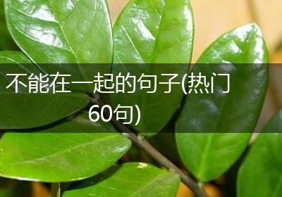 不能在一起的句子(热门60句)
