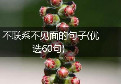 不联系不见面的句子(优选60句)