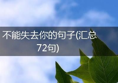 不能失去你的句子(汇总72句)
