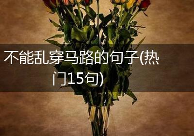 不能乱穿马路的句子(热门15句)