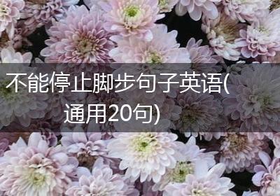 不能停止脚步句子英语(通用20句)