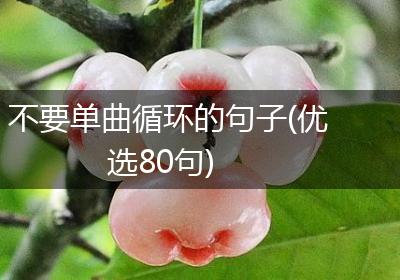 不要单曲循环的句子(优选80句)