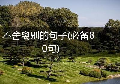 不舍离别的句子(必备80句)