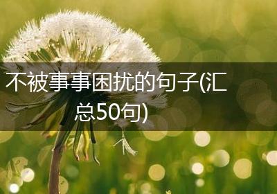 不被事事困扰的句子(汇总50句)