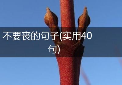 不要丧的句子(实用40句)