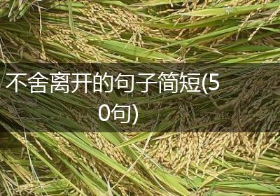 不舍离开的句子简短(50句)