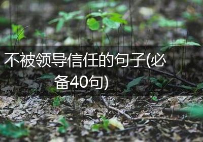 不被领导信任的句子(必备40句)