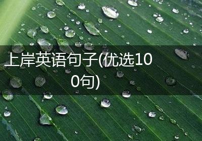 上岸英语句子(优选100句)