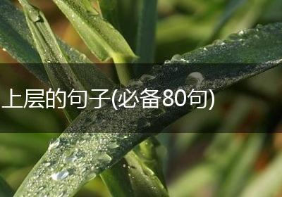 上层的句子(必备80句)