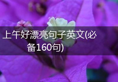 上午好漂亮句子英文(必备160句)