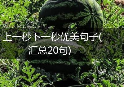 上一秒下一秒优美句子(汇总20句)