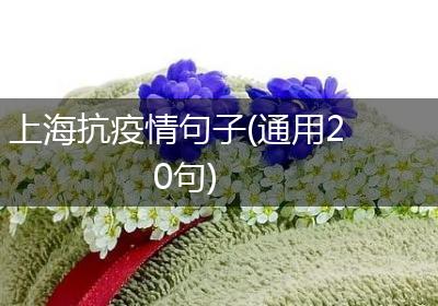 上海抗疫情句子(通用20句)