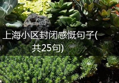 上海小区封闭感慨句子(共25句)