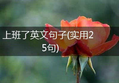 上班了英文句子(实用25句)