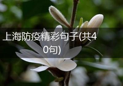 上海防疫精彩句子(共40句)