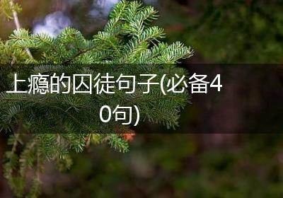 上瘾的囚徒句子(必备40句)