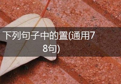 下列句子中的置(通用78句)