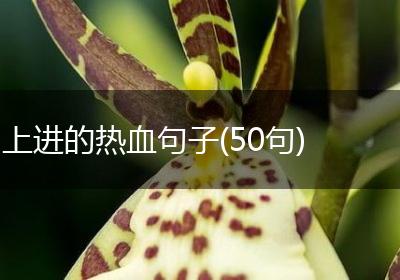 上进的热血句子(50句)