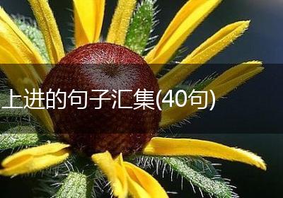 上进的句子汇集(40句)