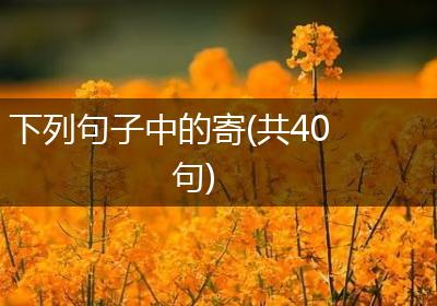下列句子中的寄(共40句)