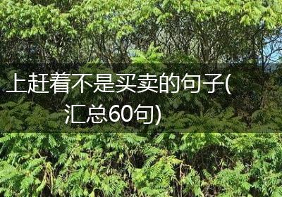 上赶着不是买卖的句子(汇总60句)
