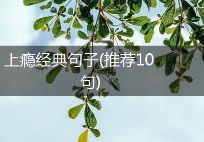 上瘾经典句子(推荐10句)