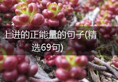 上进的正能量的句子(精选69句)