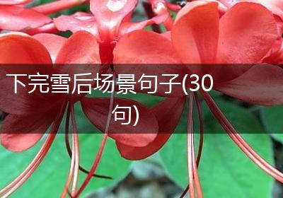 下完雪后场景句子(30句)