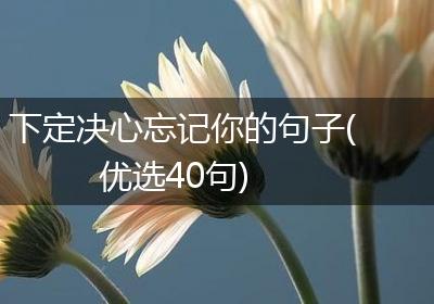 下定决心忘记你的句子(优选40句)
