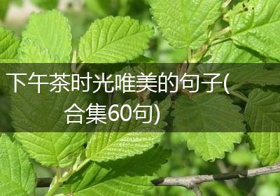 下午茶时光唯美的句子(合集60句)