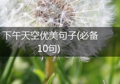 下午天空优美句子(必备10句)