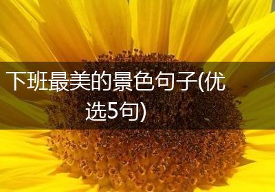 下班最美的景色句子(优选5句)