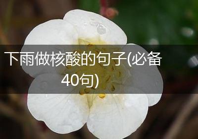 下雨做核酸的句子(必备40句)