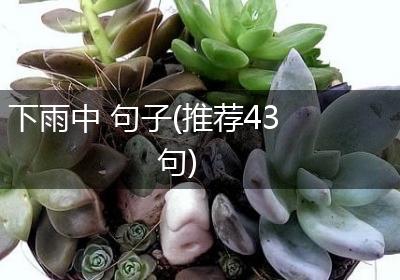 下雨中 句子(推荐43句)