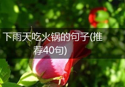 下雨天吃火锅的句子(推荐40句)