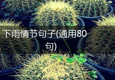 下雨情节句子(通用80句)