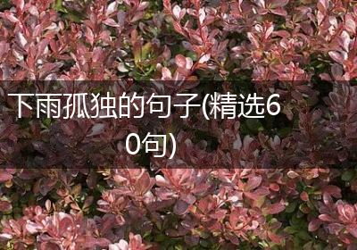 下雨孤独的句子(精选60句)