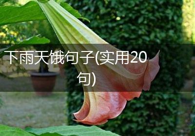 下雨天饿句子(实用20句)