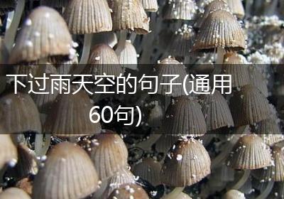 下过雨天空的句子(通用60句)
