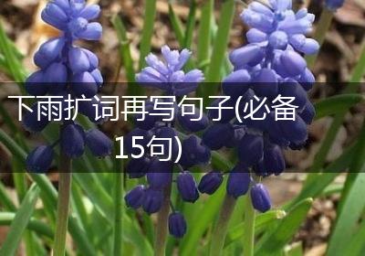 下雨扩词再写句子(必备15句)