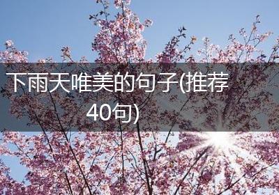 下雨天唯美的句子(推荐40句)