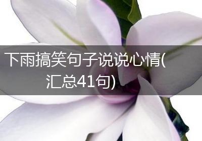 下雨搞笑句子说说心情(汇总41句)