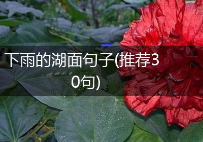 下雨的湖面句子(推荐30句)