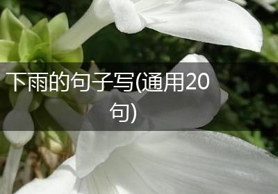 下雨的句子写(通用20句)